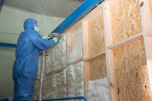Best Commercial Insulation Contractor  in Youngsville, LA