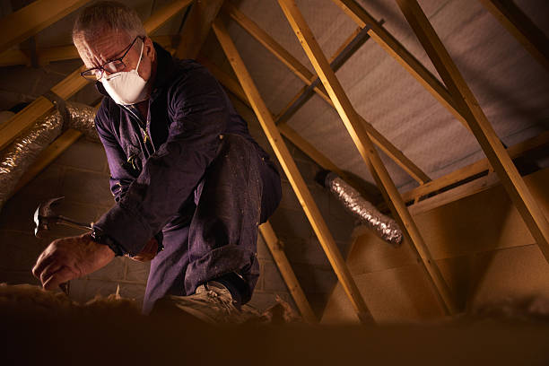 Insulation Repair Services in Youngsville, LA