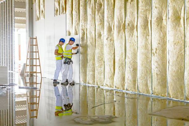 Best Soundproof Insulation Installation  in Youngsville, LA
